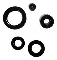 Comprar Retenes De Motor Zanella Sapucai 150, Rx 150 Hunter 150