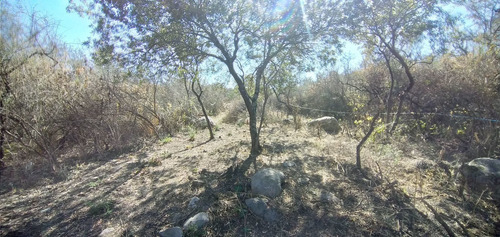Imagen 14 de 19 de Lote En Venta De 1218m2 Ubicado En Villa De Las Rosas