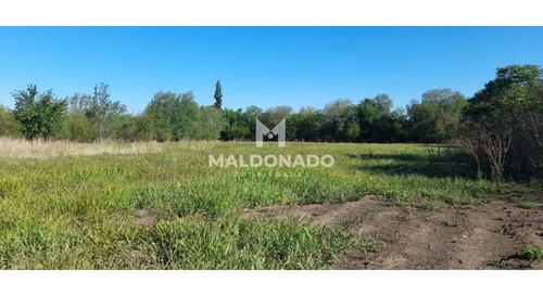 Imagen 7 de 9 de Venta Campo Quinta