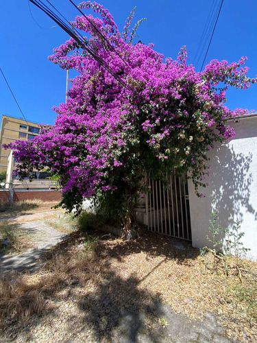 Venta De Propiedad En Pedro De Valdivia (82061)