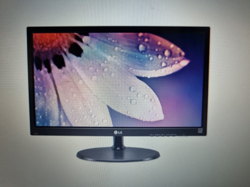 Monitor Led LG 19 Pulgadas 