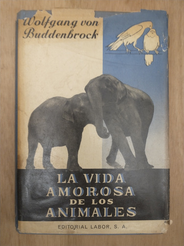 La Vida Amorosa De Los Animales - Wolfgang Von Buddenbrock (Usado)