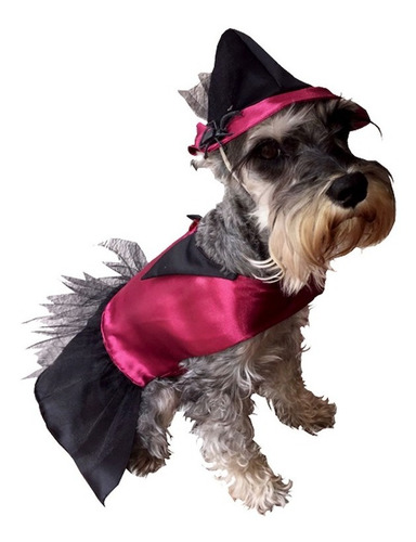 Disfraz Bruja Perro Halloween Talla 2 Mascota Pet Pals