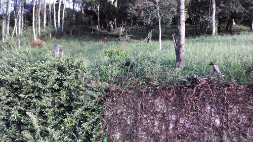 Imagem 2 de 7 de Lote A Venda Em Santo Antonio Do Pinhal - St-413-