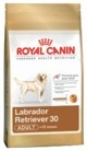Royal Canin Labrador Retriever 12 Kg Para Retirar Por Local