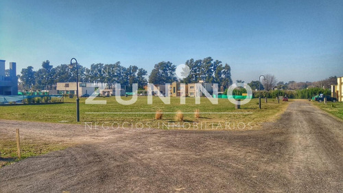 Imagen 8 de 11 de Excelente Lote En Venta En San Ignacio Chico