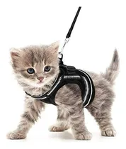 Comprar Correa Para Perros Y Gatos Pequeños