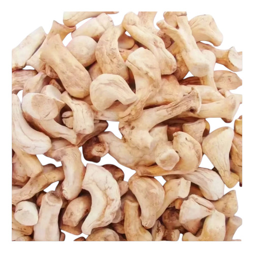Shiitake Tallos Grandes 4cm 250g. Importado China