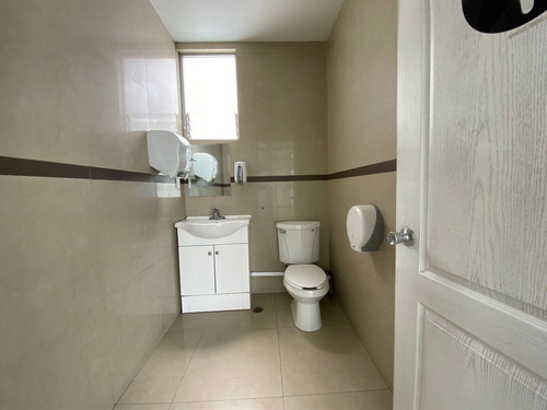 Renta Oficina 600 M2 Ph En Polanco - Horacio