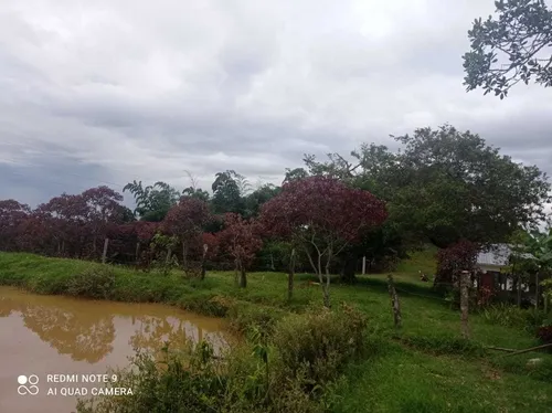 Vendo Hermosa Finca En Ibague