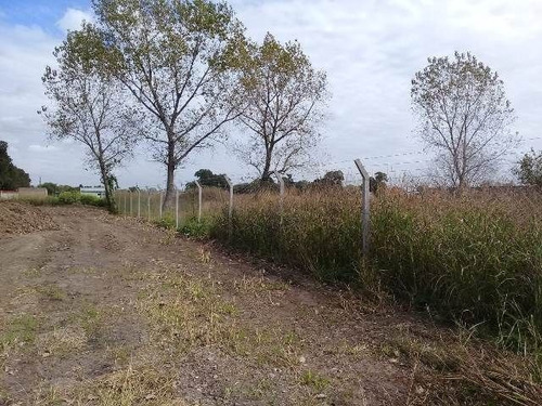 Imagen 12 de 15 de Terreno En Venta En Claypole
