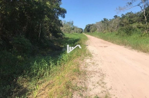 Imagem 3 de 5 de Terreno No Balneário Gaivota, Em Itanhaém