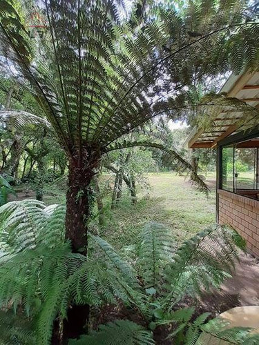 Chácara Com 1 Dormitório Para Alugar, 2000 M² Por R$ 5.000,00/mês - Botiatuva - Campo Largo/pr - Ch0016