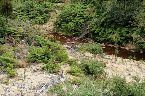 Parcela Con Acceso A Río Y Rol Propio