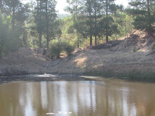 Imagen 8 de 23 de Campo En Cauquenes, Tres Estanques Acumuladores, 97 Has