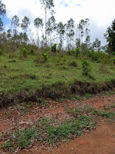 Imagem 15 de 20 de B46- Opa Chácara Boa A Venda 1000m² Venha Conhecer!!