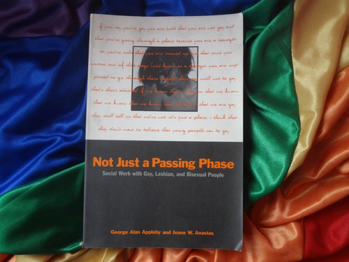 Not Just A Passing Phase Social Work With Gay Lesbian Bisexu (Usado)