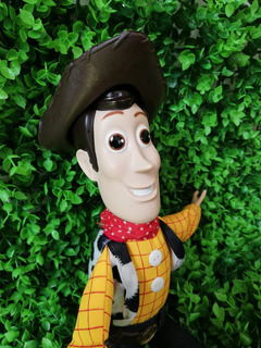 woody muñeco de trapo