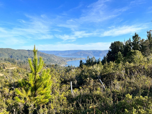 Parcela San Ignacio Alto, Espectacular Vista Bahía De Niebla