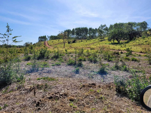 Imagem 17 de 30 de Chácara Em Centro, Martinho Campos/mg De 750m² 1 Quartos À Venda Por R$ 60.000,00 - Ch2330369-s