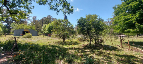 Imagen 7 de 8 de Magdalena - Campo Ganadero 296 Has - Baum Propiedades
