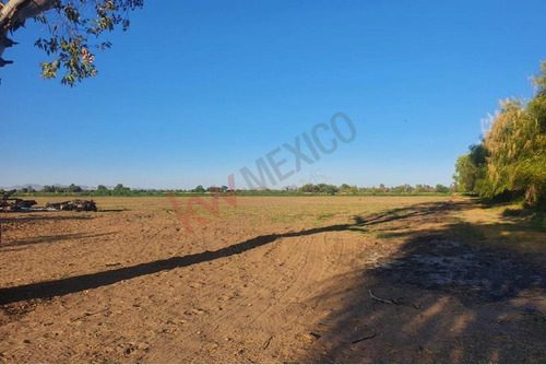 Terreno En Venta En Colonia Severo Moreno Atención Agricultores E Inversionistas ¡gran ...