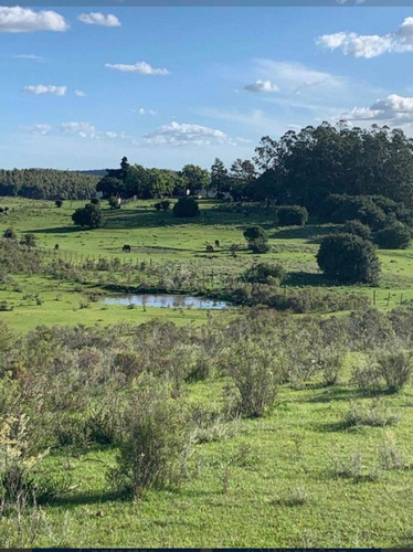 Venta Chacra 5,6 Hectareas  Ruta 60 Sierra  Tajamar Pozo