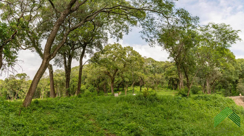 Imagen 16 de 25 de Vendo Terreno En El Retiro - San Lorenzo