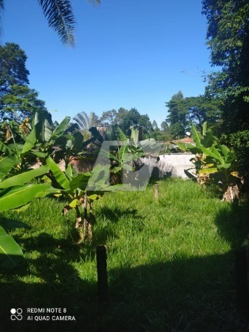 Imagem 13 de 24 de Chácara Dentro Da Cidade - Ch00117 - 69421011