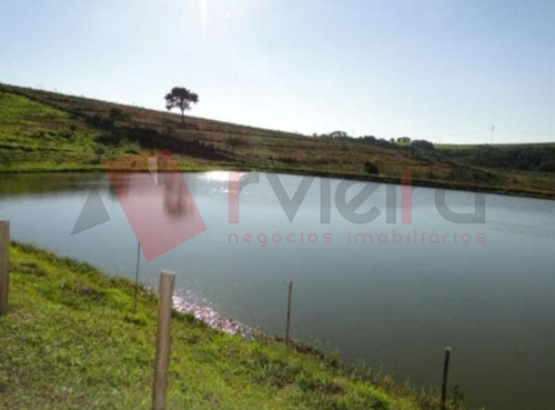 Imagem 6 de 8 de Terreno - 1814 - 32471957