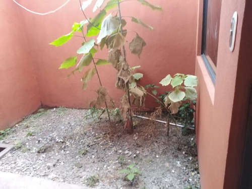 Imagen 17 de 21 de Vendo Casa, Curridabat. Residencial Paso Real