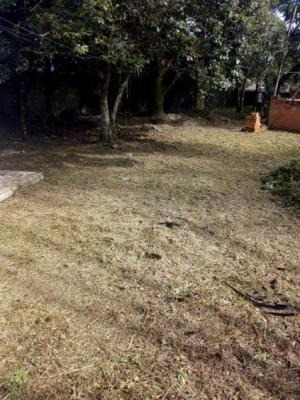 Terreno De Frente Para A Rodovia Em Itanhaém-sp (mx)