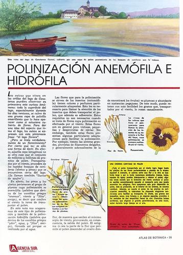 Atlas De Botánica