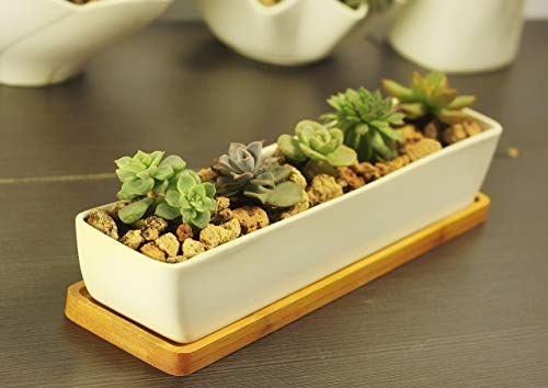 Maceta Rectangular Cerámica Blanca 27.4 Cm Para Suculentas Y
