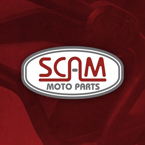 Protetor Motor Carenagem Honda Pcx 150 2019 Em Diante Scam