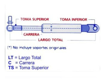 Amortiguador Puerta Byd F3