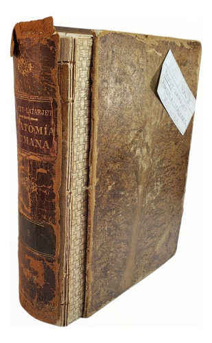 Antiguo Libro De Anatomía Humana Testut-latarjet Tomo 2 (Usado)