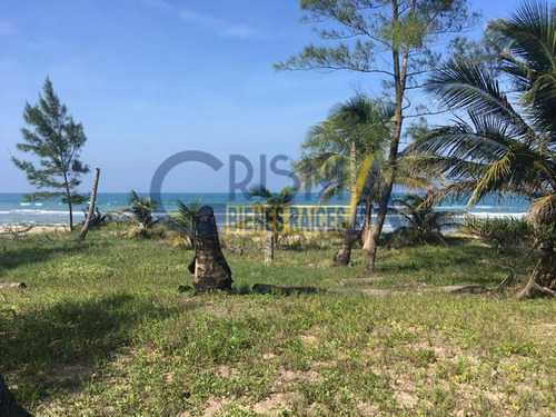 Terreno En Venta En La Playa De Tuxpan