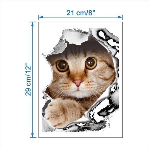 Adesivo 3d Gato Olhar Emgraçado 29cm X 21cm Carro Banheiro E