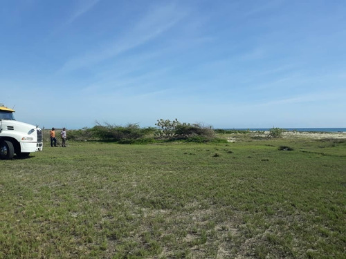 Imagen 6 de 9 de Rosa Aquino. Terreno En Chichiriviche Playa Norte. Cód.: 426279.0414-4817872