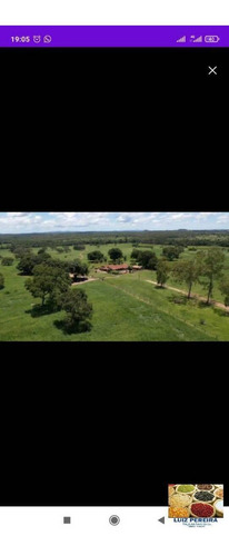 Imagem 5 de 10 de Fazenda À Venda Em Dois Irmãos - To - De 124 Alqueirões (dupla Aptidão) - 1627