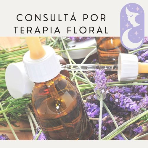 Limpieza Energética + Purificación Y Protección / Sesión 1h
