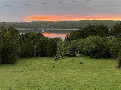 Isla Sur Bosque Nativo Sitio Cerca Bahía Con Muelle         