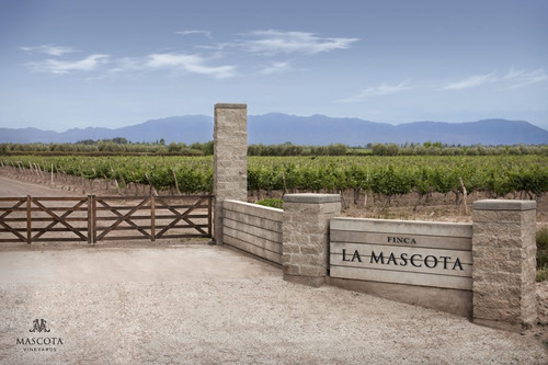 Mascota Vineyards - Gran Mascota Cabernet Sauvignon