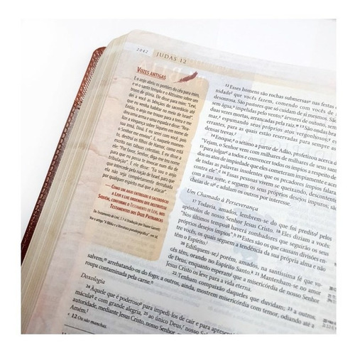Bíblia De Estudo Arqueológica | Nvi | Luxo Vinho E Cinza