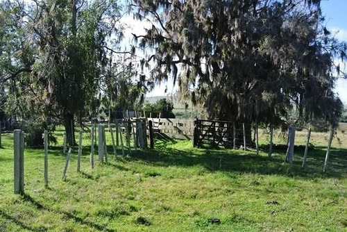 Campo En Venta En Varela