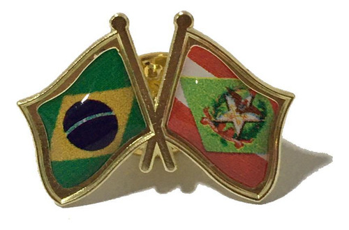 Pin Da Bandeira Do Brasil X Santa Catarina