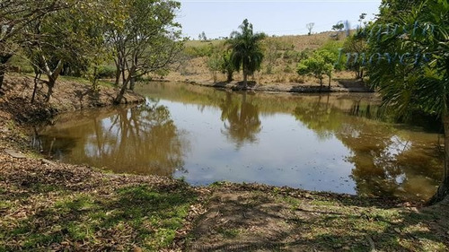 Sitio Em Jarinu Com Terreno De 48.400mt Oportunidade