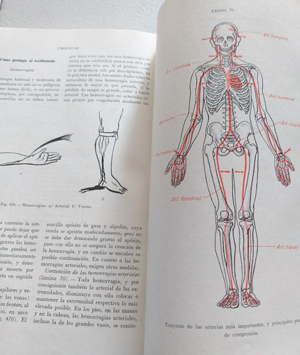 Enciclopedia De La Salud. Félix Reinhard (Usado)