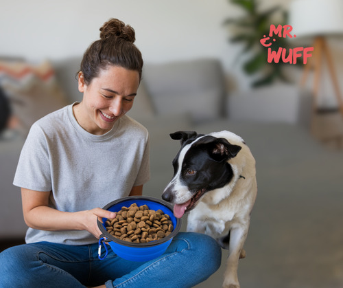 Plato Comedero Para Perro Plegable 88g Mr Wuff Color Azul rey